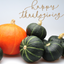 Thanksgiving Gratefulness