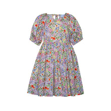 Load image into Gallery viewer, MEADOW MULTI COLOR DRESS
